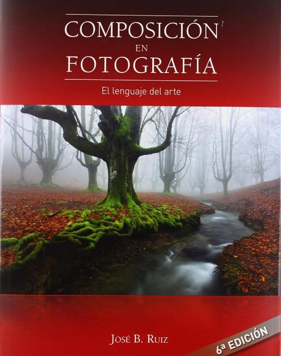 COMPOSICIÓN EN FOTOGRAFÍA | 9788493620714 | RUIZ LIMIÑANA, JOSÉ BENITO | Llibreria Ombra | Llibreria online de Rubí, Barcelona | Comprar llibres en català i castellà online