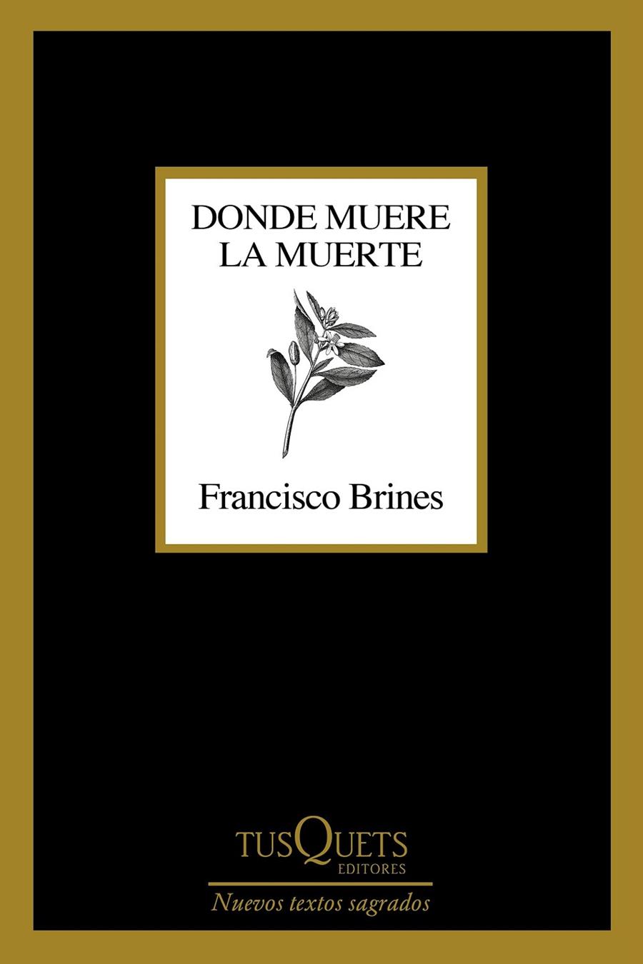 DONDE MUERE LA MUERTE | 9788411070188 | BRINES, FRANCISCO | Llibreria Ombra | Llibreria online de Rubí, Barcelona | Comprar llibres en català i castellà online