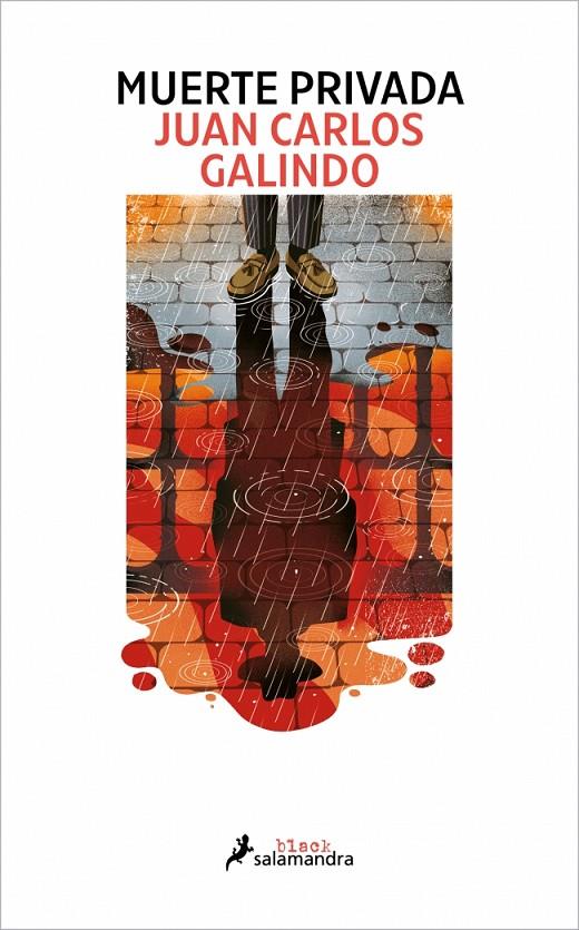 MUERTE PRIVADA (SEGOVIA NOIR 2) | 9788410340503 | GALINDO, JUAN CARLOS | Llibreria Ombra | Llibreria online de Rubí, Barcelona | Comprar llibres en català i castellà online