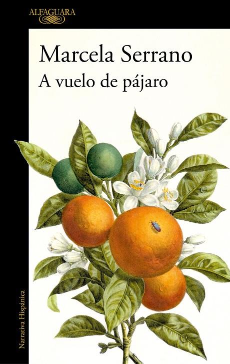 A VUELO DE PÁJARO | 9788420477978 | SERRANO, MARCELA | Llibreria Ombra | Llibreria online de Rubí, Barcelona | Comprar llibres en català i castellà online