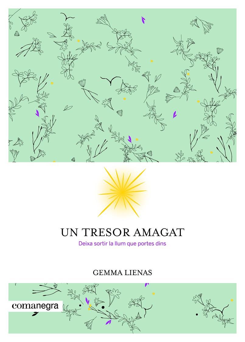 UN TRESOR AMAGAT | 9788416605347 | LIENAS MASSOT, GEMMA | Llibreria Ombra | Llibreria online de Rubí, Barcelona | Comprar llibres en català i castellà online