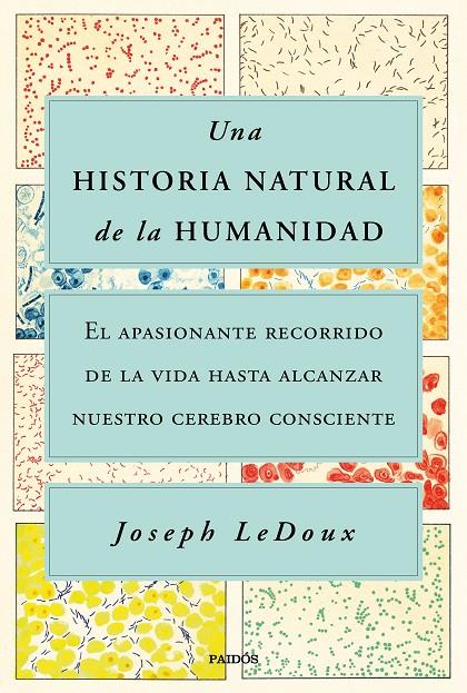 UNA HISTORIA NATURAL DE LA HUMANIDAD | 9788449338274 | LEDOUX, JOSEPH | Llibreria Ombra | Llibreria online de Rubí, Barcelona | Comprar llibres en català i castellà online