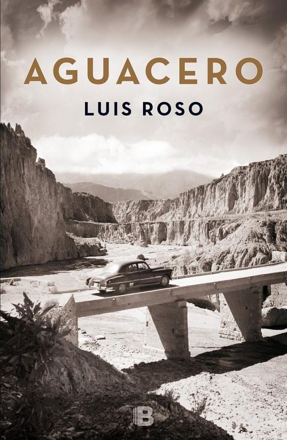 AGUACERO | 9788466659215 | ROSO, LUIS | Llibreria Ombra | Llibreria online de Rubí, Barcelona | Comprar llibres en català i castellà online