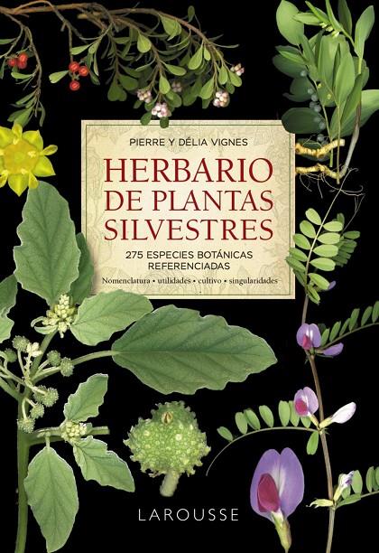 HERBARIO DE PLANTAS SILVESTRES | 9788418473999 | VIGNES, PIERRE/VIGNES, DÉLIA | Llibreria Ombra | Llibreria online de Rubí, Barcelona | Comprar llibres en català i castellà online