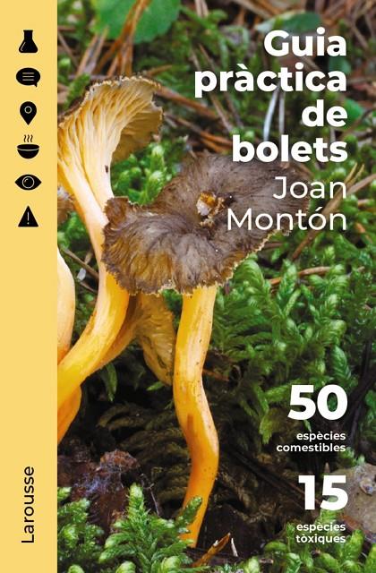 GUIA PRÀCTICA DE BOLETS | 9788418473852 | MONTÓN MARTÍNEZ, JOAN | Llibreria Ombra | Llibreria online de Rubí, Barcelona | Comprar llibres en català i castellà online