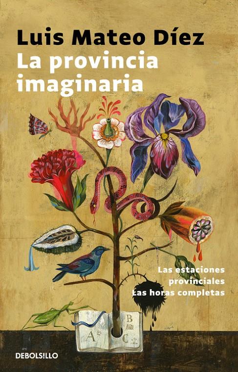 LA PROVINCIA IMAGINARIA | 9788466338691 | DIEZ, LUIS MATEO | Llibreria Ombra | Llibreria online de Rubí, Barcelona | Comprar llibres en català i castellà online