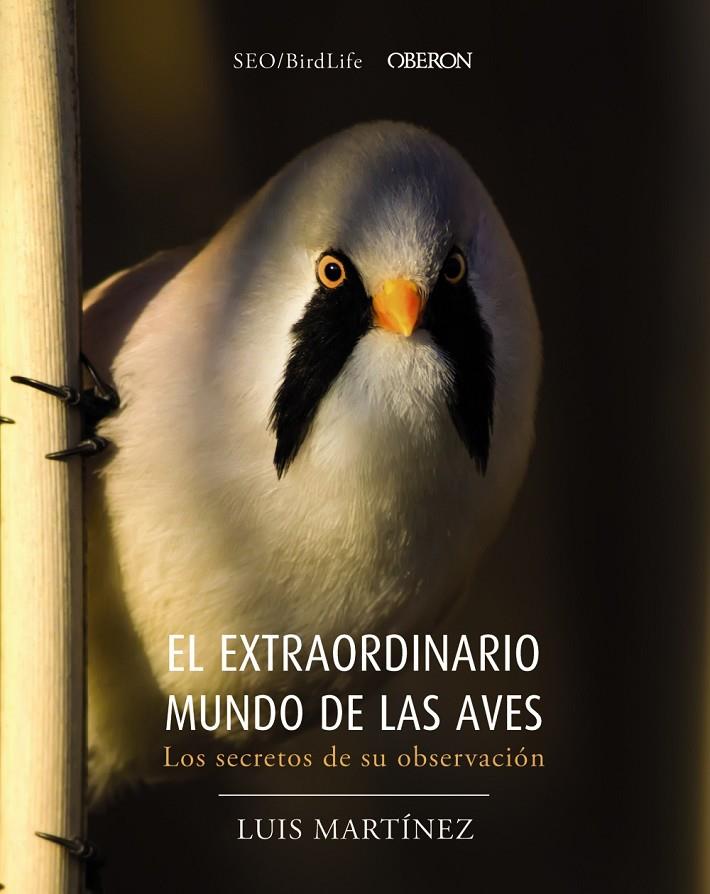 EL EXTRAORDINARIO MUNDO DE LAS AVES. LOS SECRETOS DE SU OBSERVACIÓN | 9788441540330 | SOCIEDAD ESPAÑOLA DE ORNITOLOGÍA | Llibreria Ombra | Llibreria online de Rubí, Barcelona | Comprar llibres en català i castellà online