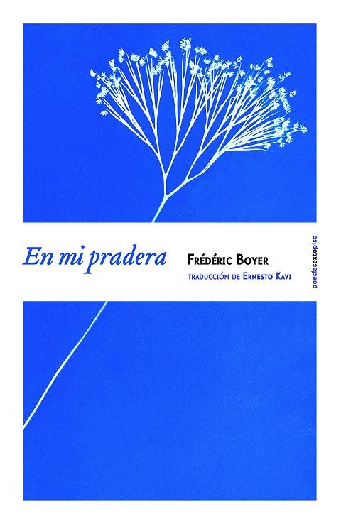 EN MI PRADERA | 9788416358038 | BOYER, FRÉDÉRIC | Llibreria Ombra | Llibreria online de Rubí, Barcelona | Comprar llibres en català i castellà online