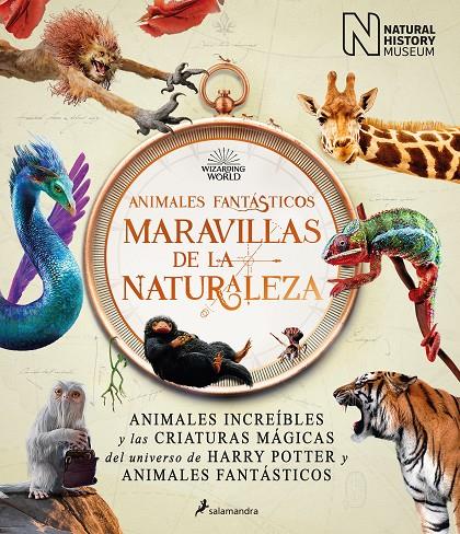 ANIMALES FANTÁSTICOS: MARAVILLAS DE LA NATURALEZA | 9788418637056 | THE NATIONAL HISTORY MUSEUM, | Llibreria Ombra | Llibreria online de Rubí, Barcelona | Comprar llibres en català i castellà online