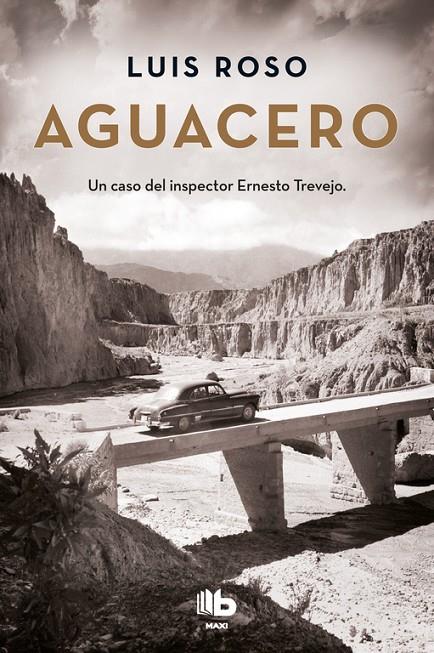 AGUACERO (INSPECTOR TREVEJO 1) | 9788490704363 | ROSO, LUIS | Llibreria Ombra | Llibreria online de Rubí, Barcelona | Comprar llibres en català i castellà online