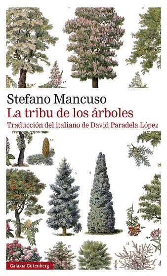 LA TRIBU DE LOS ÁRBOLES | 9788419392510 | MANCUSO, STEFANO | Llibreria Ombra | Llibreria online de Rubí, Barcelona | Comprar llibres en català i castellà online