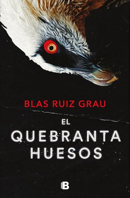 EL QUEBRANTAHUESOS (NICOLÁS VALDÉS 4) | 9788466673600 | RUIZ GRAU, BLAS | Llibreria Ombra | Llibreria online de Rubí, Barcelona | Comprar llibres en català i castellà online