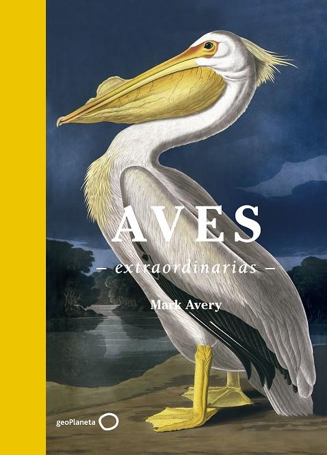 AVES EXTRAORDINARIAS | 9788408181477 | AVERY, MARK | Llibreria Ombra | Llibreria online de Rubí, Barcelona | Comprar llibres en català i castellà online