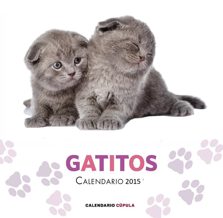 CALENDARIO GATITOS 2015 | 9788448019730 | Llibreria Ombra | Llibreria online de Rubí, Barcelona | Comprar llibres en català i castellà online