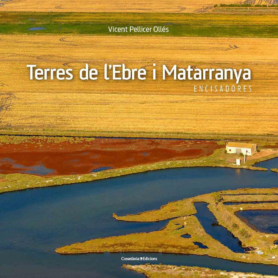 TERRES DE L'EBRE I MATARRANYA | 9788490345467 | PELLICER OLLÉS, VICENT | Llibreria Ombra | Llibreria online de Rubí, Barcelona | Comprar llibres en català i castellà online