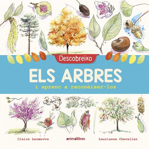 DESCOBREIXO ELS ARBRES I APRENC A RECONÈIXER-LOS | 9788417599195 | LECOEUVRE, CLAIRE | Llibreria Ombra | Llibreria online de Rubí, Barcelona | Comprar llibres en català i castellà online