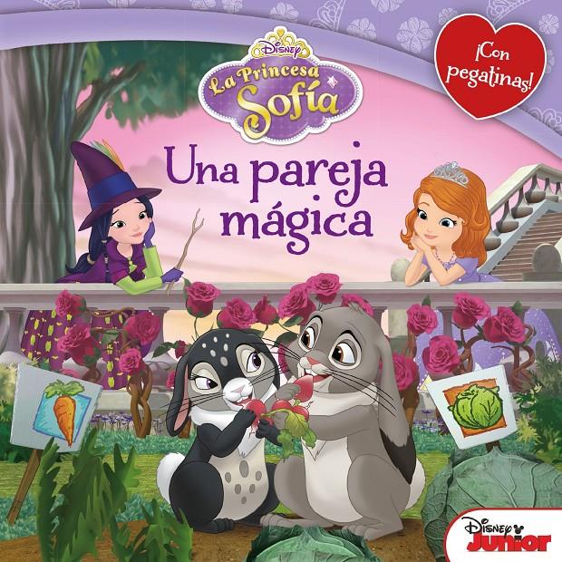 LA PRINCESA SOFÍA. UNA PAREJA MÁGICA | 9788499516561 | DISNEY | Llibreria Ombra | Llibreria online de Rubí, Barcelona | Comprar llibres en català i castellà online