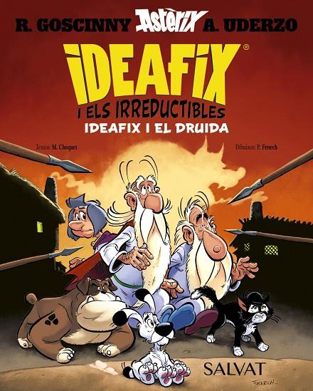 IDEAFIX I ELS IRREDUCTIBLES, 5. IDEAFIX I EL DRUIDA | 9788469643426 | GOSCINNY, RENÉ/CHOQUET, MATTHIEU | Llibreria Ombra | Llibreria online de Rubí, Barcelona | Comprar llibres en català i castellà online