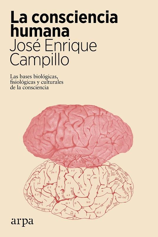 LA CONSCIENCIA HUMANA | 9788417623722 | CAMPILLO, JOSÉ ENRIQUE | Llibreria Ombra | Llibreria online de Rubí, Barcelona | Comprar llibres en català i castellà online