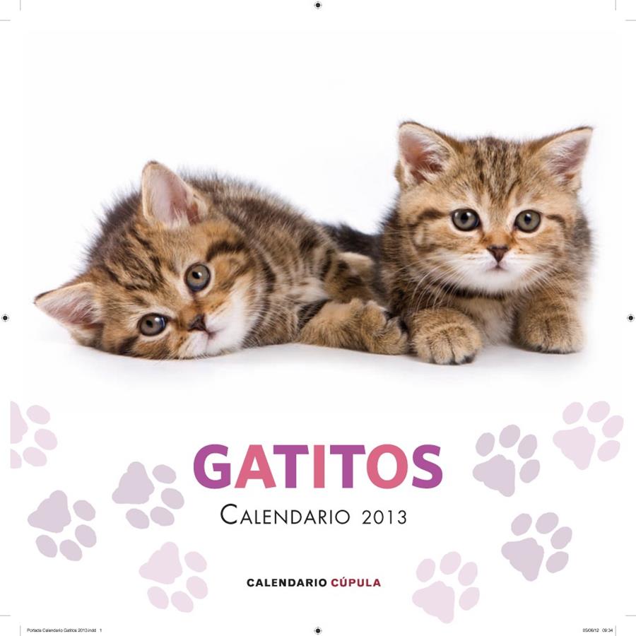 CALENDARIO GATITOS 2013 | 9788448006648 | AA. VV. | Llibreria Ombra | Llibreria online de Rubí, Barcelona | Comprar llibres en català i castellà online