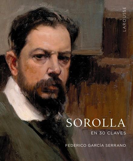 SOROLLA EN 30 CLAVES | 9788419436962 | GARCÍA SERRANO, FEDERICO | Llibreria Ombra | Llibreria online de Rubí, Barcelona | Comprar llibres en català i castellà online