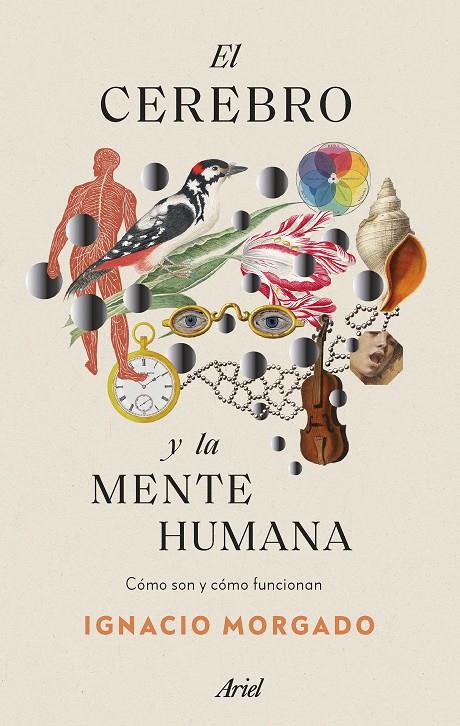 EL CEREBRO Y LA MENTE HUMANA | 9788434435988 | MORGADO, IGNACIO | Llibreria Ombra | Llibreria online de Rubí, Barcelona | Comprar llibres en català i castellà online