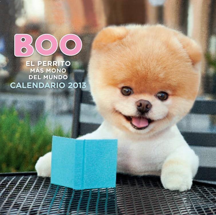 CALENDARIO 2013 BOO EL PERRITO MÁS MONO DEL MUNDO 2013 | 9788448005313 | AA. VV. | Llibreria Ombra | Llibreria online de Rubí, Barcelona | Comprar llibres en català i castellà online