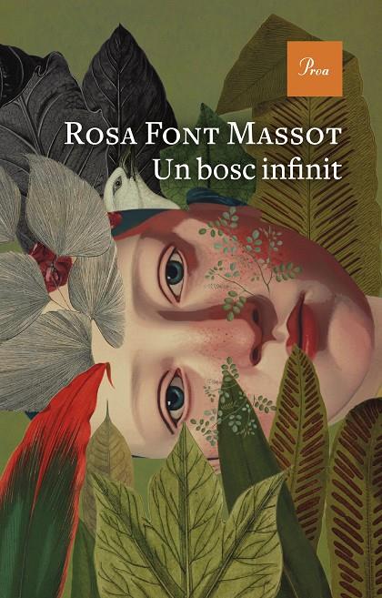 UN BOSC INFINIT | 9788419657732 | FONT MASSOT, ROSA | Llibreria Ombra | Llibreria online de Rubí, Barcelona | Comprar llibres en català i castellà online