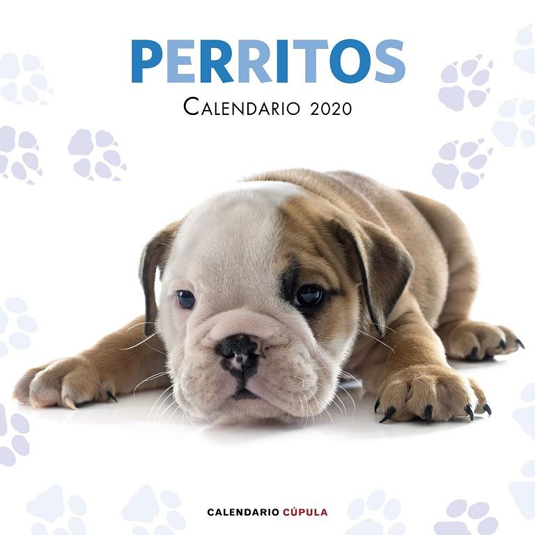 CALENDARIO PERRITOS 2020 | 9788448026158 | AA. VV. | Llibreria Ombra | Llibreria online de Rubí, Barcelona | Comprar llibres en català i castellà online