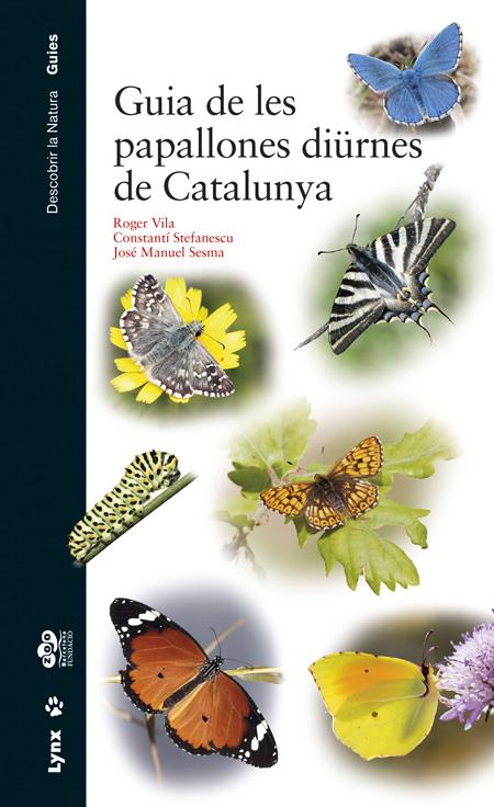 GUIA DE LES PAPALLONES DIÜRNES DE CATALUNYA | 9788416728060 | VILA, ROGER VILA / STEFANESCU, CONSTANTÍ / SESMA, JOSÉ MANUEL | Llibreria Ombra | Llibreria online de Rubí, Barcelona | Comprar llibres en català i castellà online