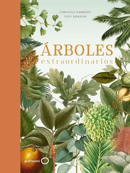 ÁRBOLES EXTRAORDINARIOS | 9788408210719 | KIRKHAM, TONY/HARRISON, CHRISTINA | Llibreria Ombra | Llibreria online de Rubí, Barcelona | Comprar llibres en català i castellà online