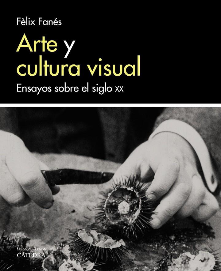 ARTE Y CULTURA VISUAL | 9788437638058 | FANÉS, FÈLIX | Llibreria Ombra | Llibreria online de Rubí, Barcelona | Comprar llibres en català i castellà online