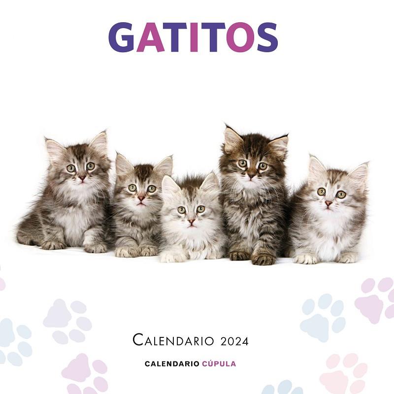 CALENDARIO GATITOS 2024 | 9788448038076 | AA. VV. | Llibreria Ombra | Llibreria online de Rubí, Barcelona | Comprar llibres en català i castellà online