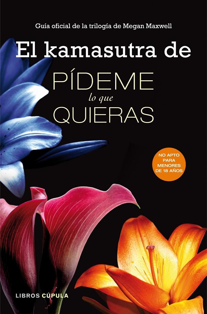 EL KAMASUTRA DE PÍDEME LO QUE QUIERAS | 9788448018290 | AA. VV. | Llibreria Ombra | Llibreria online de Rubí, Barcelona | Comprar llibres en català i castellà online