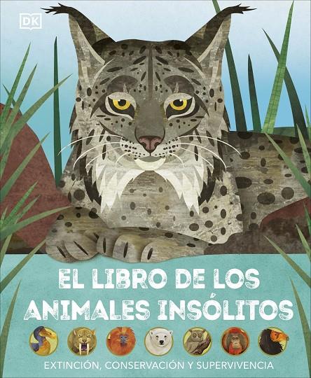 EL LIBRO DE LOS ANIMALES INSÓLITOS | 9780241637692 | DK | Llibreria Ombra | Llibreria online de Rubí, Barcelona | Comprar llibres en català i castellà online