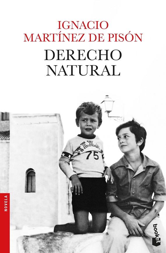 DERECHO NATURAL | 9788432234279 | MARTÍNEZ DE PISÓN, IGNACIO | Llibreria Ombra | Llibreria online de Rubí, Barcelona | Comprar llibres en català i castellà online