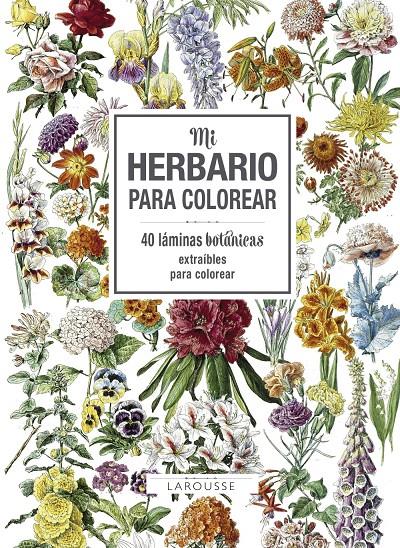 MI HERBARIO PARA COLOREAR | 9788416984749 | LAROUSSE EDITORIAL | Llibreria Ombra | Llibreria online de Rubí, Barcelona | Comprar llibres en català i castellà online