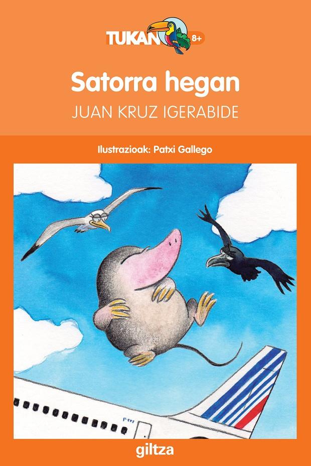 SATORRA HEGAN | 9788483782941 | IGERABIDE SARASOLA, JUAN KRUZ | Llibreria Ombra | Llibreria online de Rubí, Barcelona | Comprar llibres en català i castellà online