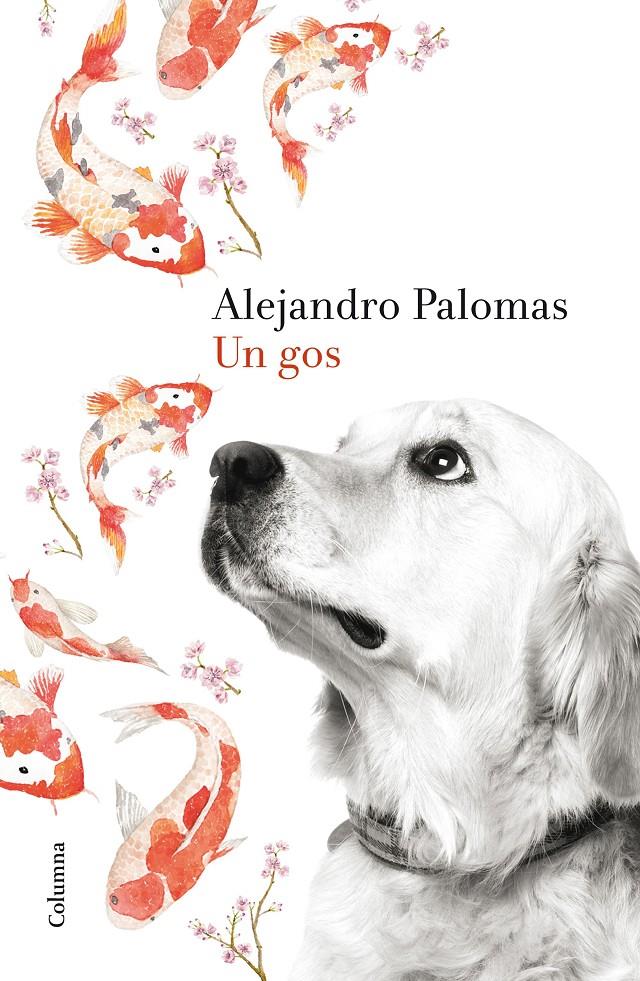 UN GOS | 9788466420426 | ALEJANDRO PALOMAS | Llibreria Ombra | Llibreria online de Rubí, Barcelona | Comprar llibres en català i castellà online