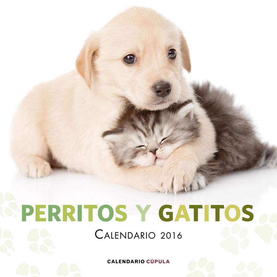 CALENDARIO PERRITOS Y GATITOS 2016 | 9788448021726 | AA. VV. | Llibreria Ombra | Llibreria online de Rubí, Barcelona | Comprar llibres en català i castellà online