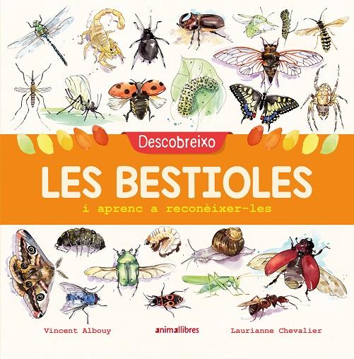 DESCOBREIXO LES BESTIOLES I APRENC A RECONÈIXER-LES | 9788417599201 | ALBOUY, VINCENT | Llibreria Ombra | Llibreria online de Rubí, Barcelona | Comprar llibres en català i castellà online