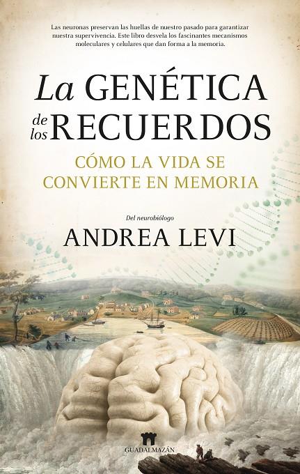 LA GENÉTICA DE LOS RECUERDOS | 9788419414540 | ANDREA LEVI | Llibreria Ombra | Llibreria online de Rubí, Barcelona | Comprar llibres en català i castellà online