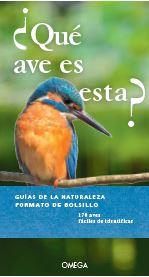 ¿QUE AVE ES ESTA? | 9788428217071 | DIERSCHKE, VOLKER | Llibreria Ombra | Llibreria online de Rubí, Barcelona | Comprar llibres en català i castellà online