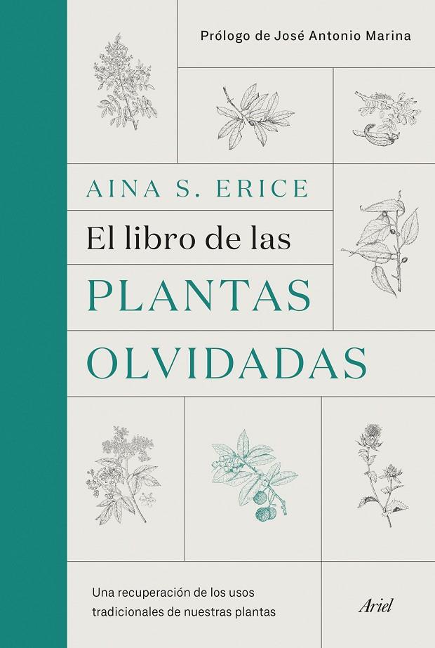 EL LIBRO DE LAS PLANTAS OLVIDADAS | 9788434431461 | S. ERICE, AINA | Llibreria Ombra | Llibreria online de Rubí, Barcelona | Comprar llibres en català i castellà online