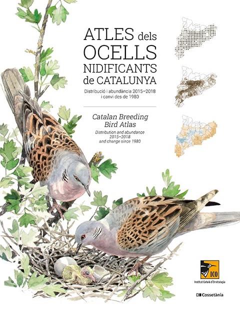 ATLES DELS OCELLS NIDIFICANTS DE CATALUNYA | 9788413560939 | LLOBET, TONI/FRANCH, MARTÍ | Llibreria Ombra | Llibreria online de Rubí, Barcelona | Comprar llibres en català i castellà online