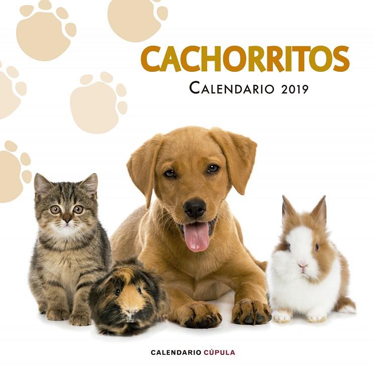 CALENDARIO CACHORRITOS 2019 | 9788448024673 | AA. VV. | Llibreria Ombra | Llibreria online de Rubí, Barcelona | Comprar llibres en català i castellà online