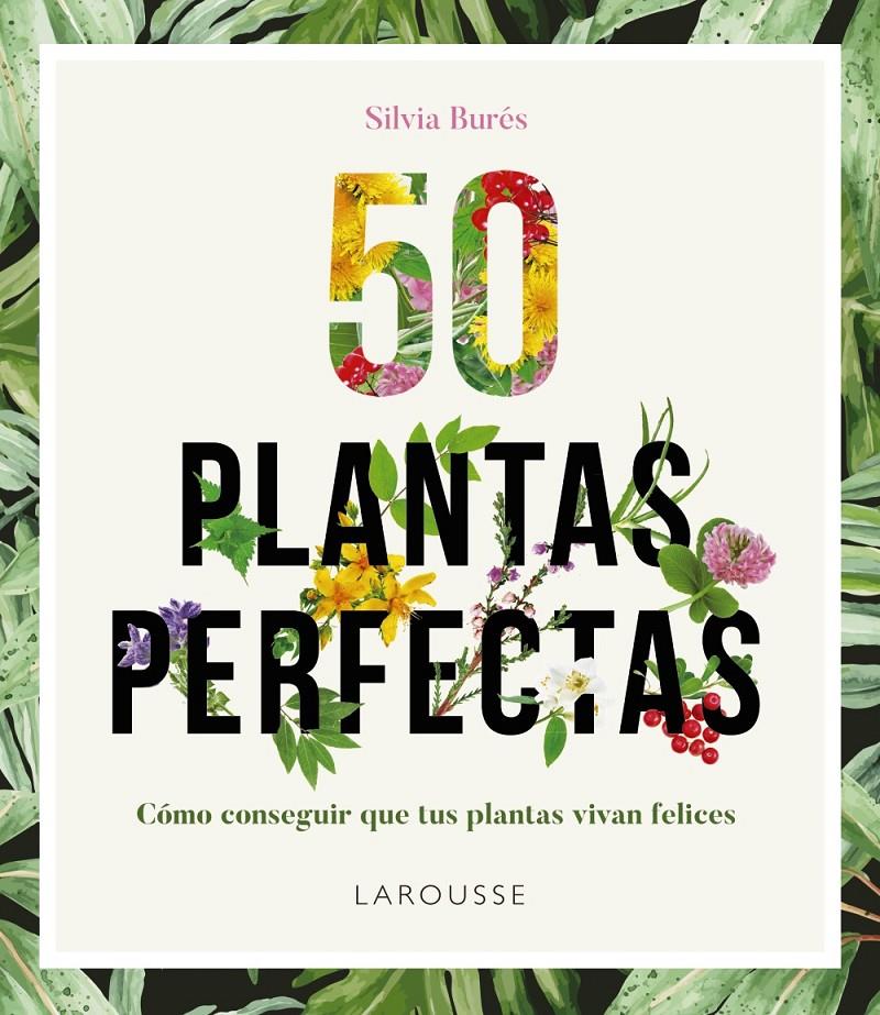 50 PLANTAS PERFECTAS | 9788416641840 | BURÉS, SILVIA | Llibreria Ombra | Llibreria online de Rubí, Barcelona | Comprar llibres en català i castellà online