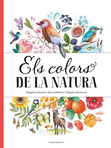 ELS COLORS DE LA NATURA | 9788490349243 | SEDLÁ?KOVÁ, JANA/SEKANINOVÁ, ?T?PÁNKA | Llibreria Ombra | Llibreria online de Rubí, Barcelona | Comprar llibres en català i castellà online