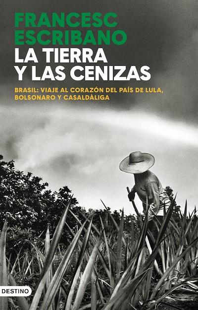 LA TIERRA Y LAS CENIZAS | 9788423364275 | ESCRIBANO ROYO, FRANCESC | Llibreria Ombra | Llibreria online de Rubí, Barcelona | Comprar llibres en català i castellà online