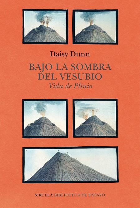 BAJO LA SOMBRA DEL VESUBIO | 9788418708459 | DUNN, DAISY | Llibreria Ombra | Llibreria online de Rubí, Barcelona | Comprar llibres en català i castellà online